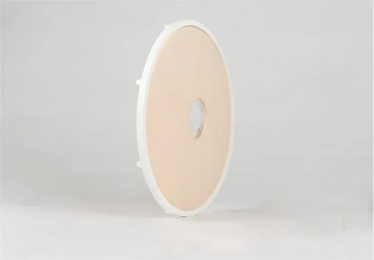 Depth Filtration Capsule